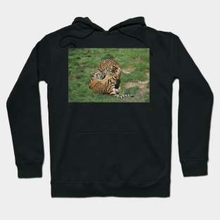 Tiger Cubs Hoodie